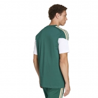 ITALIA FIGC T-SHIRT GIOCATORE VERDE 2025-27