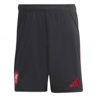 LIVERPOOL  AWAY SHORTS 2025-26