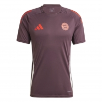 BAYERN MONACO MAGLIA ALLENAMENTO GRANATA 2024-25