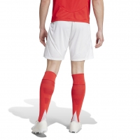 BENFICA PANTALONCINI HOME 2024-25